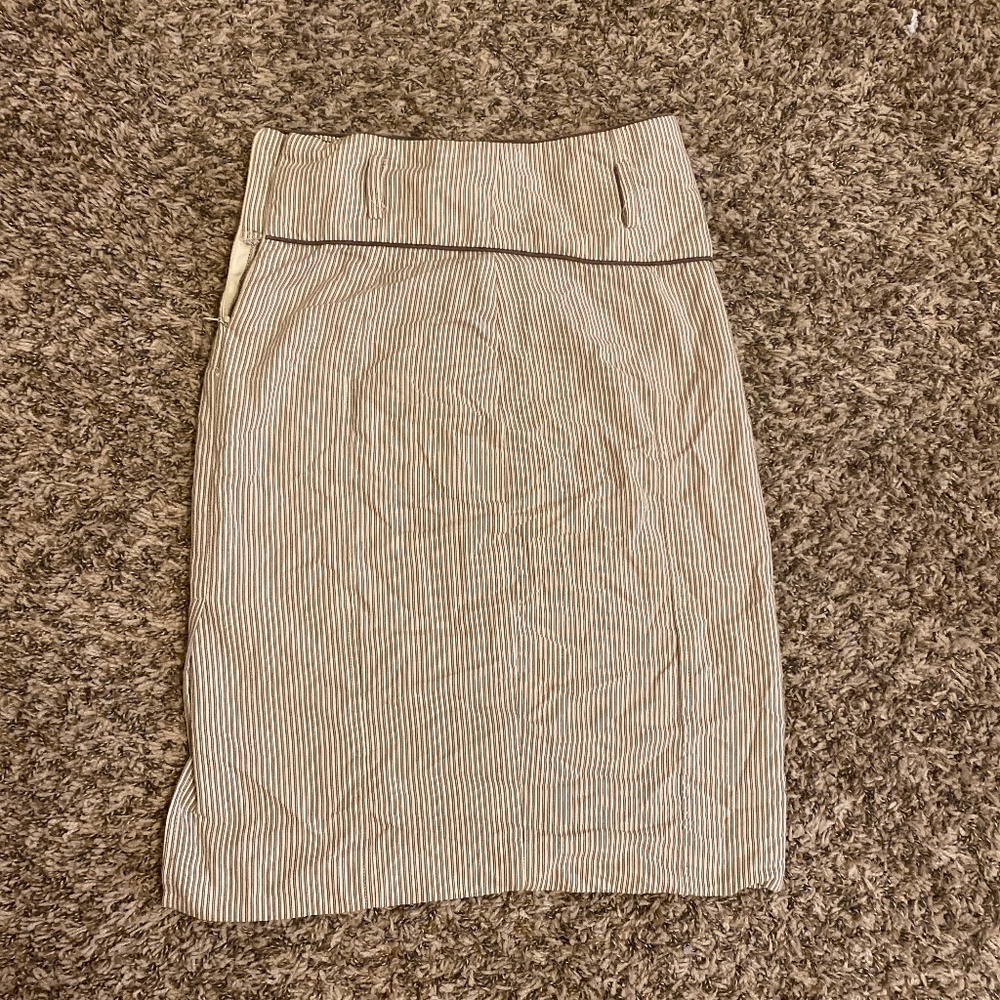 Professional Skirt